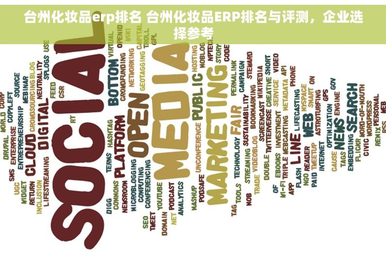 台州化妆品erp排名 台州化妆品ERP排名与评测，企业选择参考