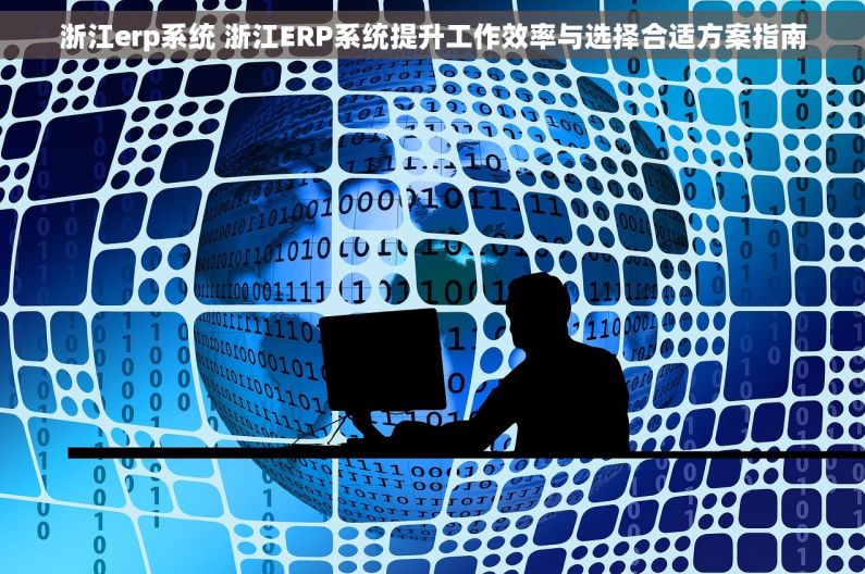 浙江erp系统 浙江ERP系统提升工作效率与选择合适方案指南