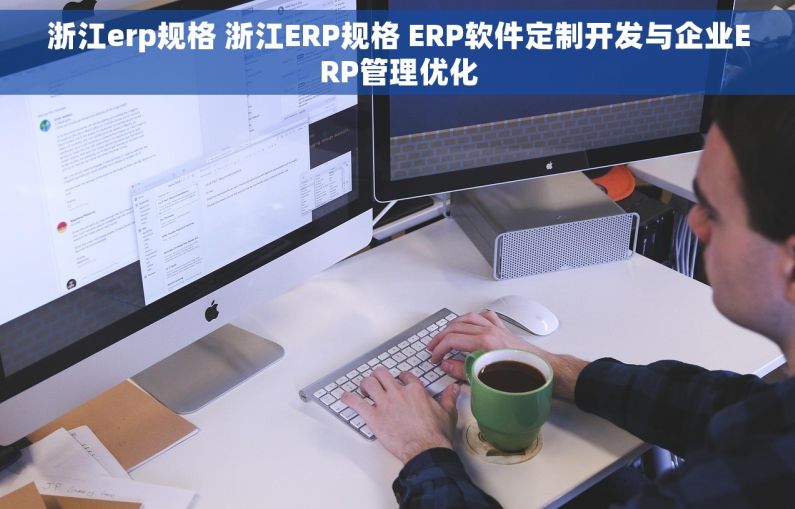 浙江erp规格 浙江ERP规格 ERP软件定制开发与企业ERP管理优化