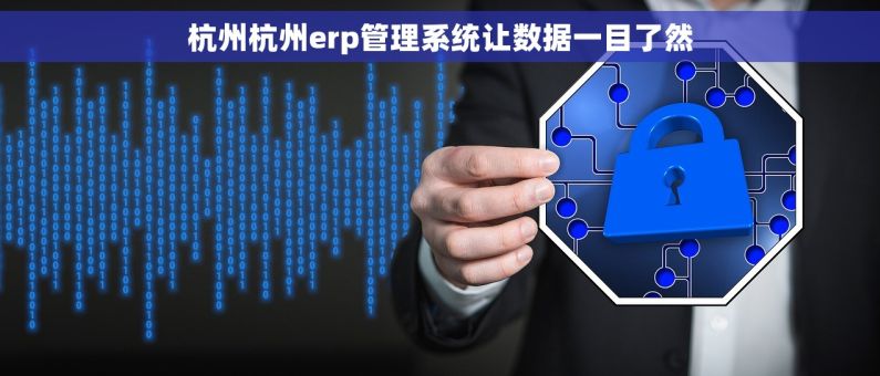 杭州杭州erp管理系统让数据一目了然