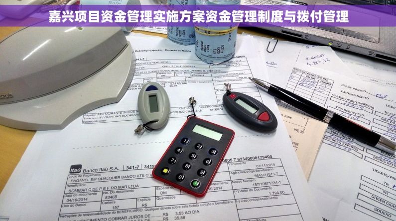 嘉兴项目资金管理实施方案资金管理制度与拨付管理