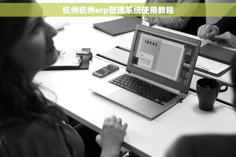 杭州杭州erp管理系统使用教程