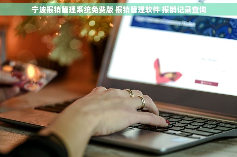 宁波报销管理系统免费版 报销管理软件 报销记录查询