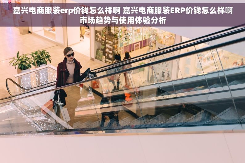 嘉兴电商服装erp价钱怎么样啊 嘉兴电商服装ERP价钱怎么样啊市场趋势与使用体验分析