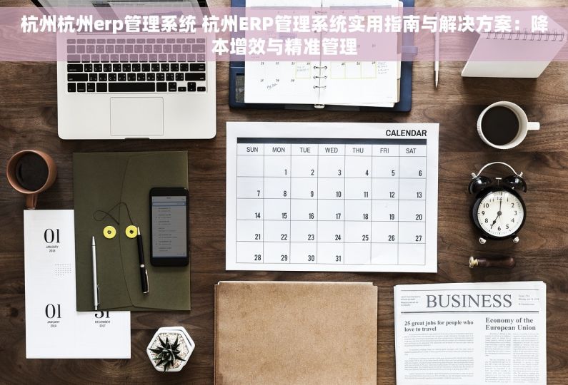 杭州杭州erp管理系统 杭州ERP管理系统实用指南与解决方案：降本增效与精准管理