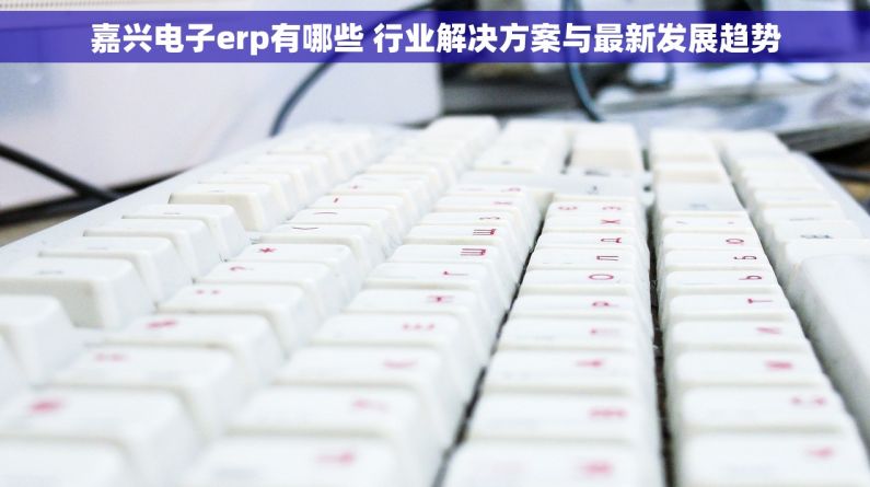 嘉兴电子erp有哪些 行业解决方案与最新发展趋势