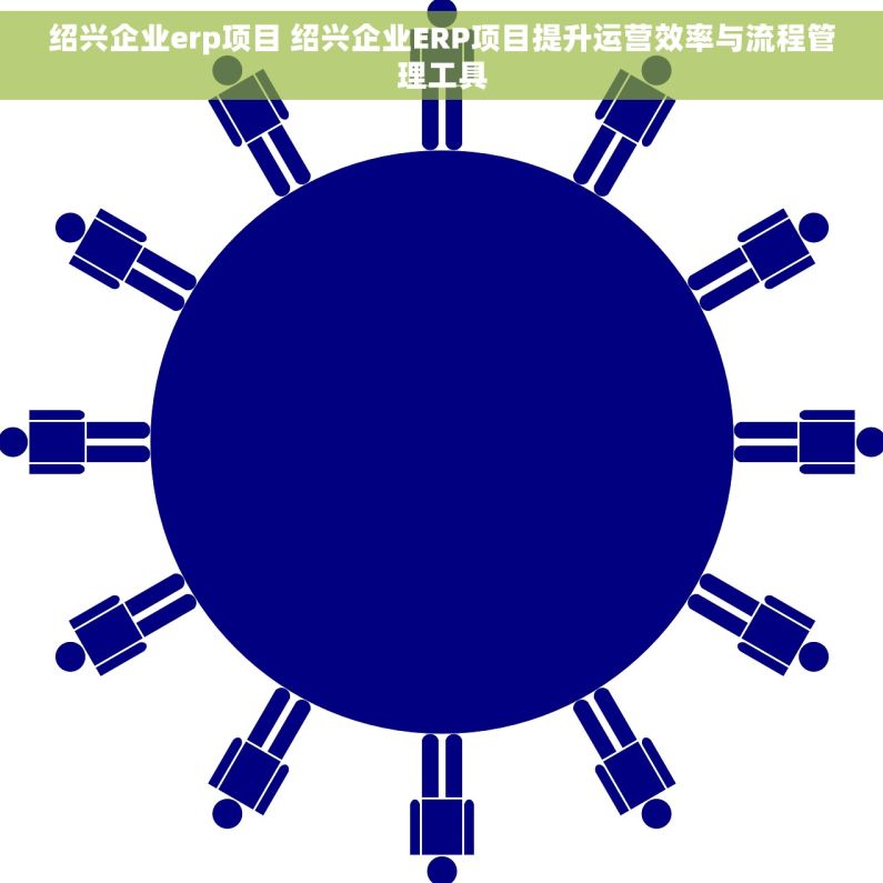 绍兴企业erp项目 绍兴企业ERP项目提升运营效率与流程管理工具