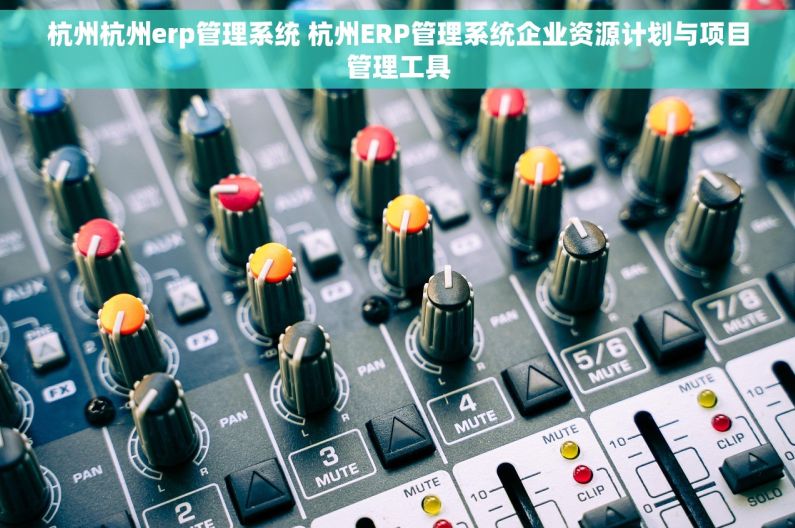 杭州杭州erp管理系统 杭州ERP管理系统企业资源计划与项目管理工具