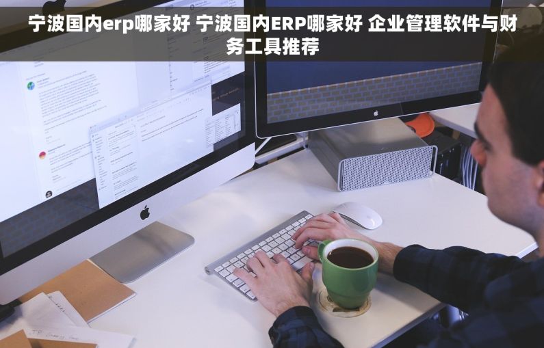 宁波国内erp哪家好 宁波国内ERP哪家好 企业管理软件与财务工具推荐