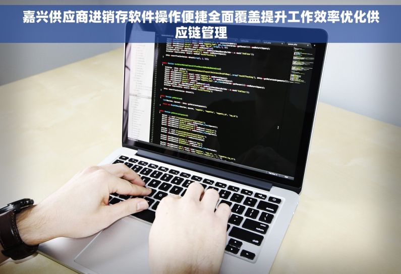 嘉兴供应商进销存软件操作便捷全面覆盖提升工作效率优化供应链管理