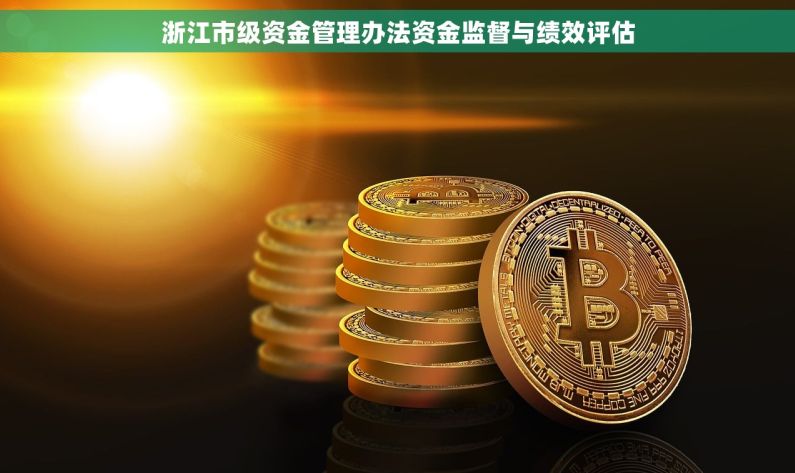 浙江市级资金管理办法资金监督与绩效评估