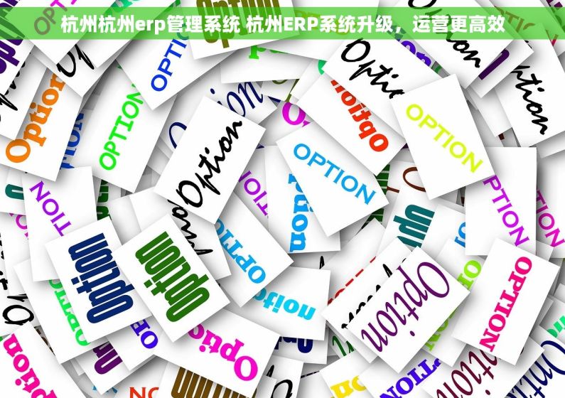 杭州杭州erp管理系统 杭州ERP系统升级，运营更高效