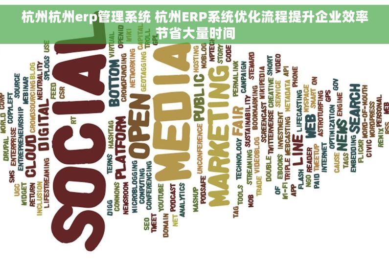 杭州杭州erp管理系统 杭州ERP系统优化流程提升企业效率节省大量时间