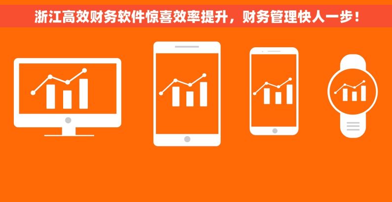 浙江高效财务软件惊喜效率提升，财务管理快人一步！