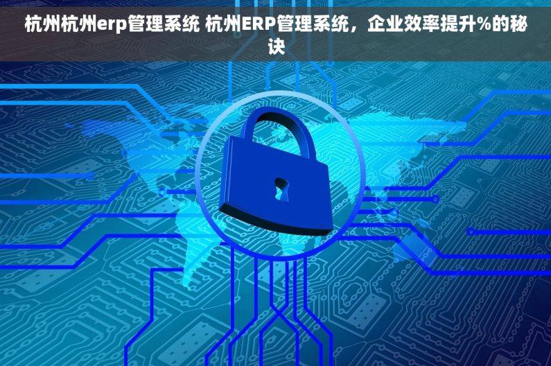 杭州杭州erp管理系统 杭州ERP管理系统，企业效率提升%的秘诀