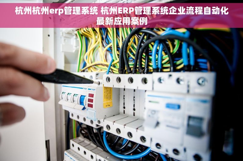 杭州杭州erp管理系统 杭州ERP管理系统企业流程自动化最新应用案例