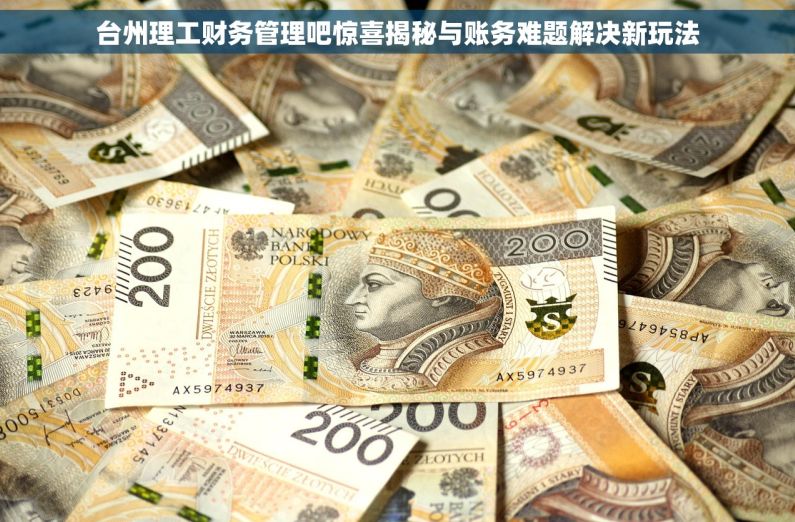 台州理工财务管理吧惊喜揭秘与账务难题解决新玩法