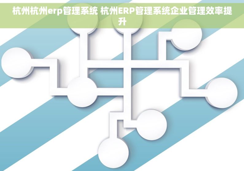 杭州杭州erp管理系统 杭州ERP管理系统企业管理效率提升