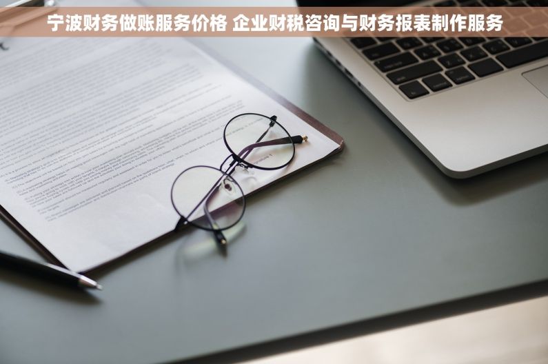 宁波财务做账服务价格 企业财税咨询与财务报表制作服务