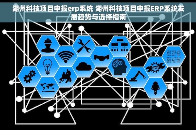湖州科技项目申报erp系统 湖州科技项目申报ERP系统发展趋势与选择指南