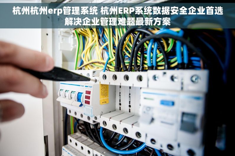杭州杭州erp管理系统 杭州ERP系统数据安全企业首选解决企业管理难题最新方案