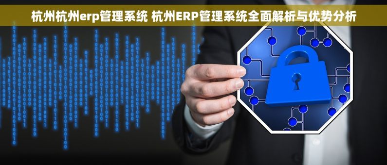 杭州杭州erp管理系统 杭州ERP管理系统全面解析与优势分析