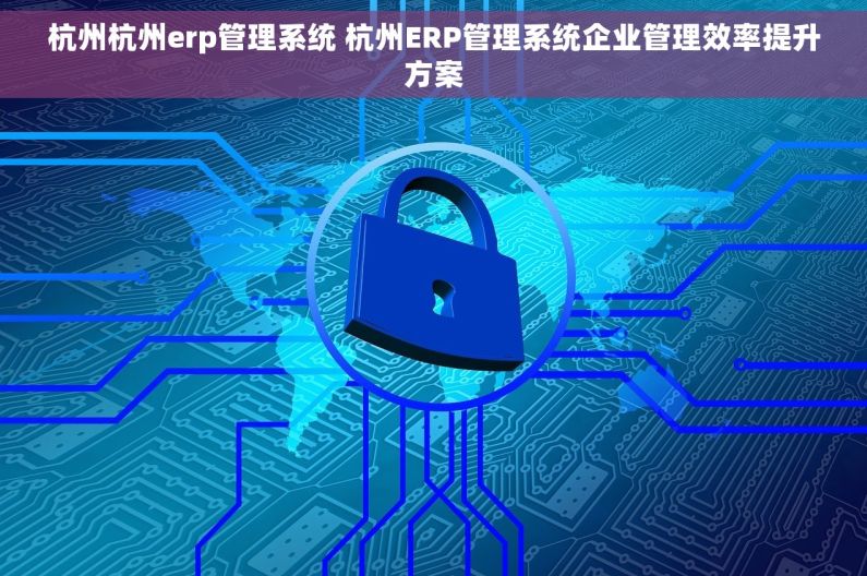 杭州杭州erp管理系统 杭州ERP管理系统企业管理效率提升方案