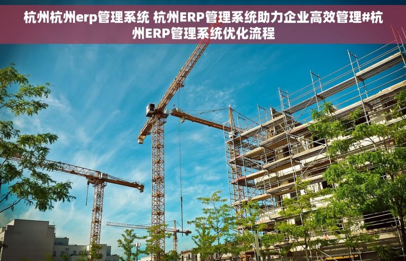 杭州杭州erp管理系统 杭州ERP管理系统助力企业高效管理#杭州ERP管理系统优化流程
