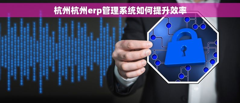 杭州杭州erp管理系统如何提升效率