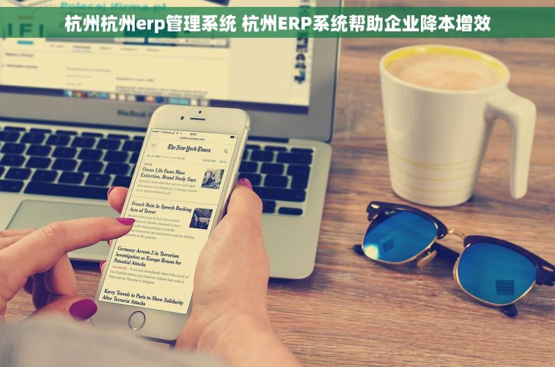 杭州杭州erp管理系统 杭州ERP系统帮助企业降本增效