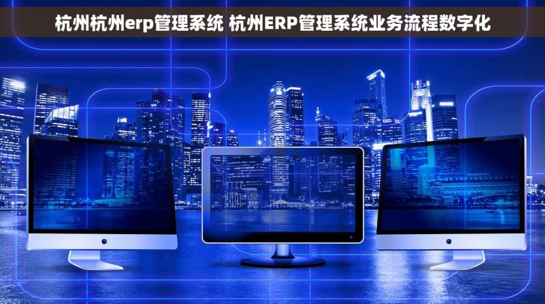 杭州杭州erp管理系统 杭州ERP管理系统业务流程数字化
