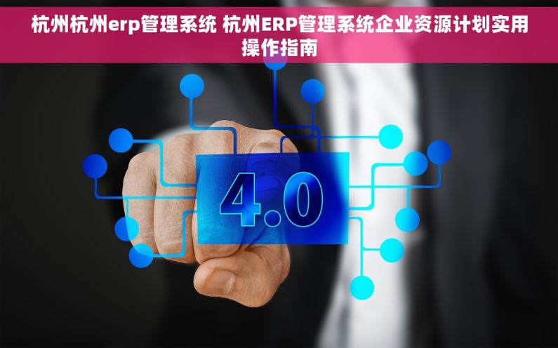 杭州杭州erp管理系统 杭州ERP管理系统企业资源计划实用操作指南