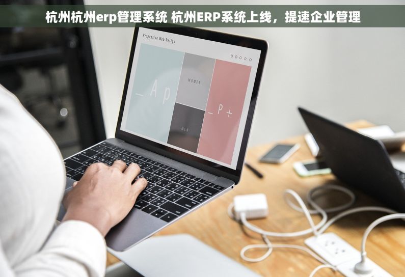 杭州杭州erp管理系统 杭州ERP系统上线，提速企业管理
