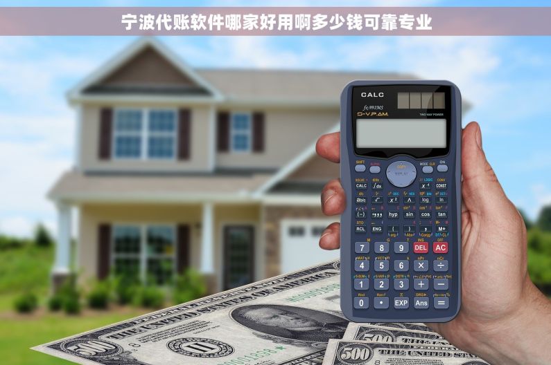 宁波代账软件哪家好用啊多少钱可靠专业
