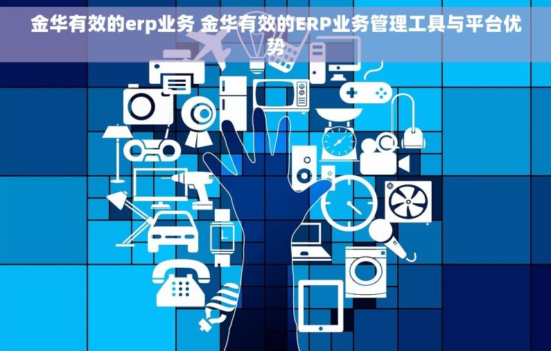 金华有效的erp业务 金华有效的ERP业务管理工具与平台优势