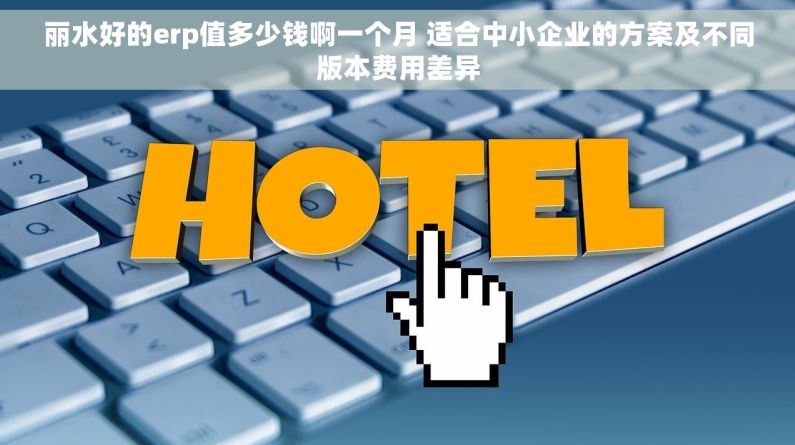 丽水好的erp值多少钱啊一个月 适合中小企业的方案及不同版本费用差异