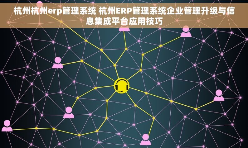 杭州杭州erp管理系统 杭州ERP管理系统企业管理升级与信息集成平台应用技巧