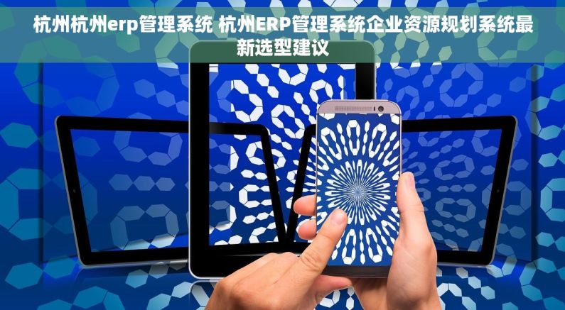 杭州杭州erp管理系统 杭州ERP管理系统企业资源规划系统最新选型建议
