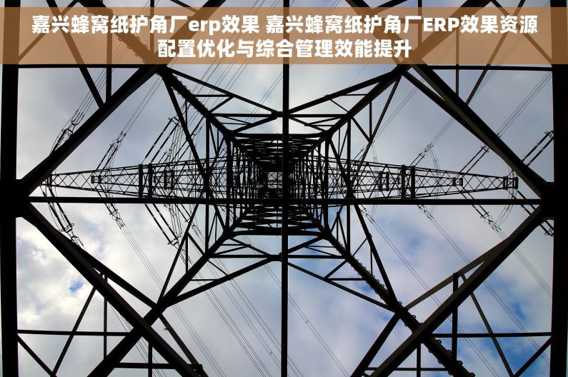 嘉兴蜂窝纸护角厂erp效果 嘉兴蜂窝纸护角厂ERP效果资源配置优化与综合管理效能提升