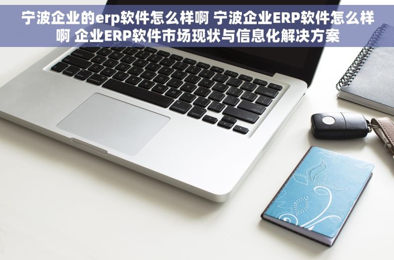 宁波企业的erp软件怎么样啊 宁波企业ERP软件怎么样啊 企业ERP软件市场现状与信息化解决方案