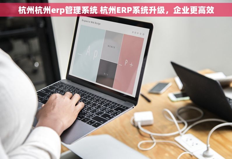 杭州杭州erp管理系统 杭州ERP系统升级，企业更高效