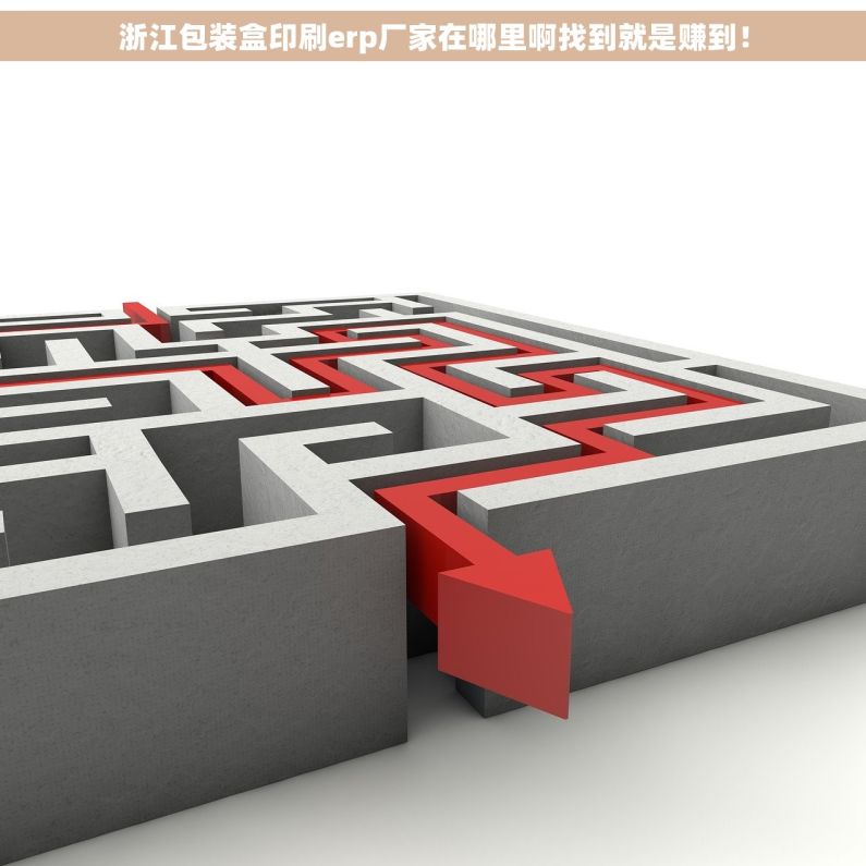 浙江包装盒印刷erp厂家在哪里啊找到就是赚到！