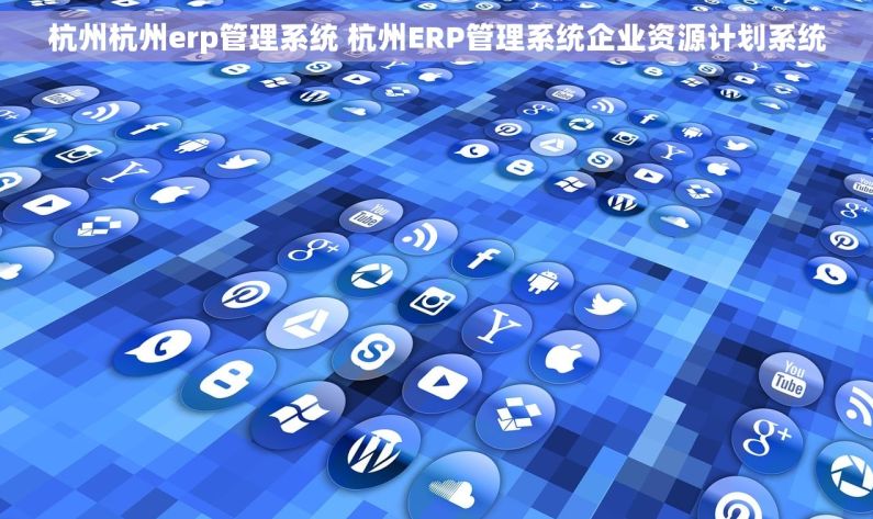 杭州杭州erp管理系统 杭州ERP管理系统企业资源计划系统