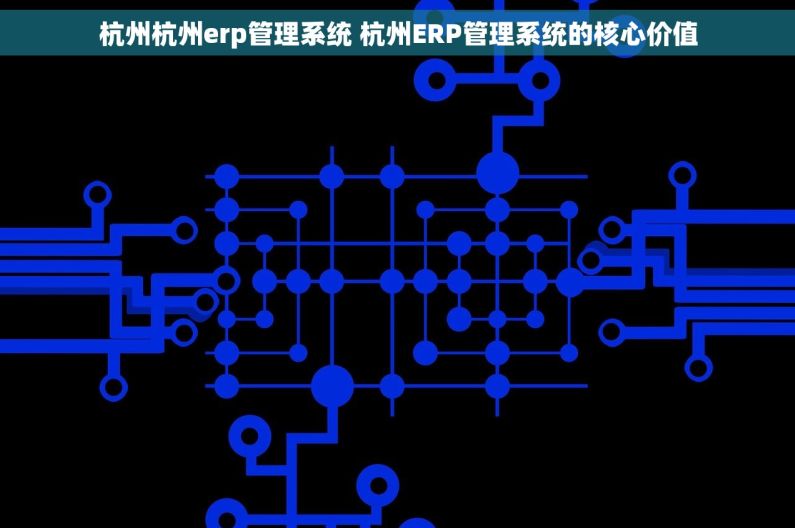 杭州杭州erp管理系统 杭州ERP管理系统的核心价值