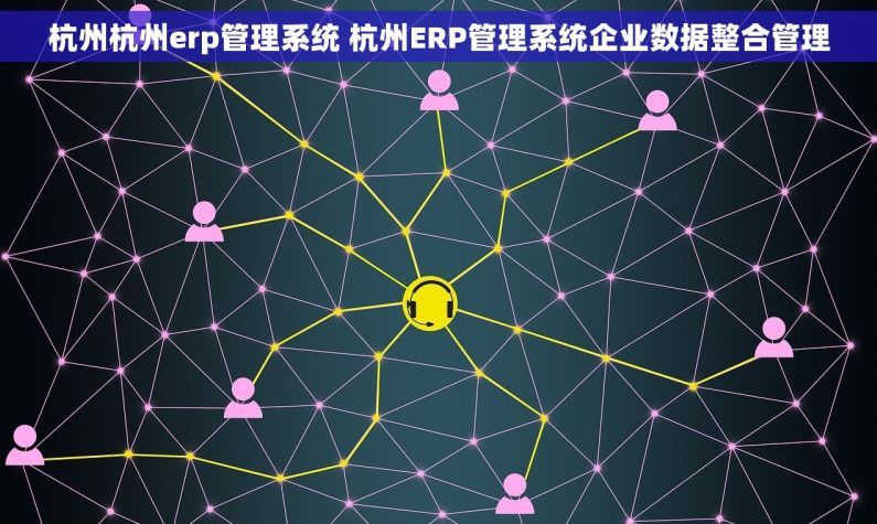 杭州杭州erp管理系统 杭州ERP管理系统企业数据整合管理