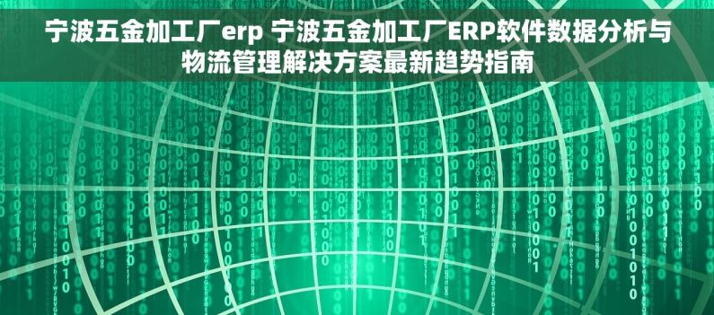 宁波五金加工厂erp 宁波五金加工厂ERP软件数据分析与物流管理解决方案最新趋势指南