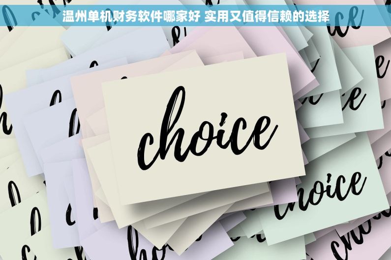 温州单机财务软件哪家好 实用又值得信赖的选择