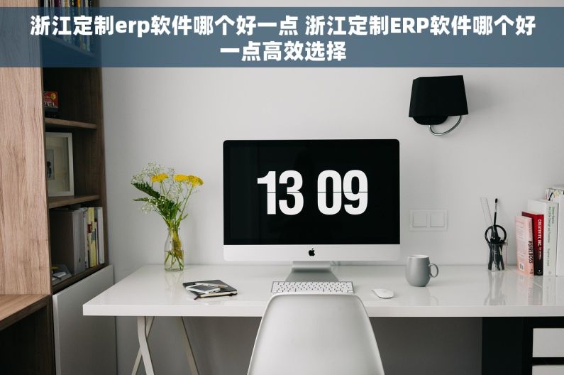 浙江定制erp软件哪个好一点 浙江定制ERP软件哪个好一点高效选择