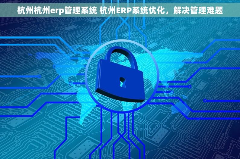 杭州杭州erp管理系统 杭州ERP系统优化，解决管理难题