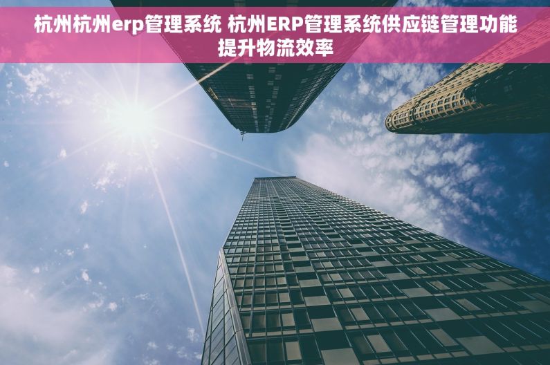 杭州杭州erp管理系统 杭州ERP管理系统供应链管理功能提升物流效率